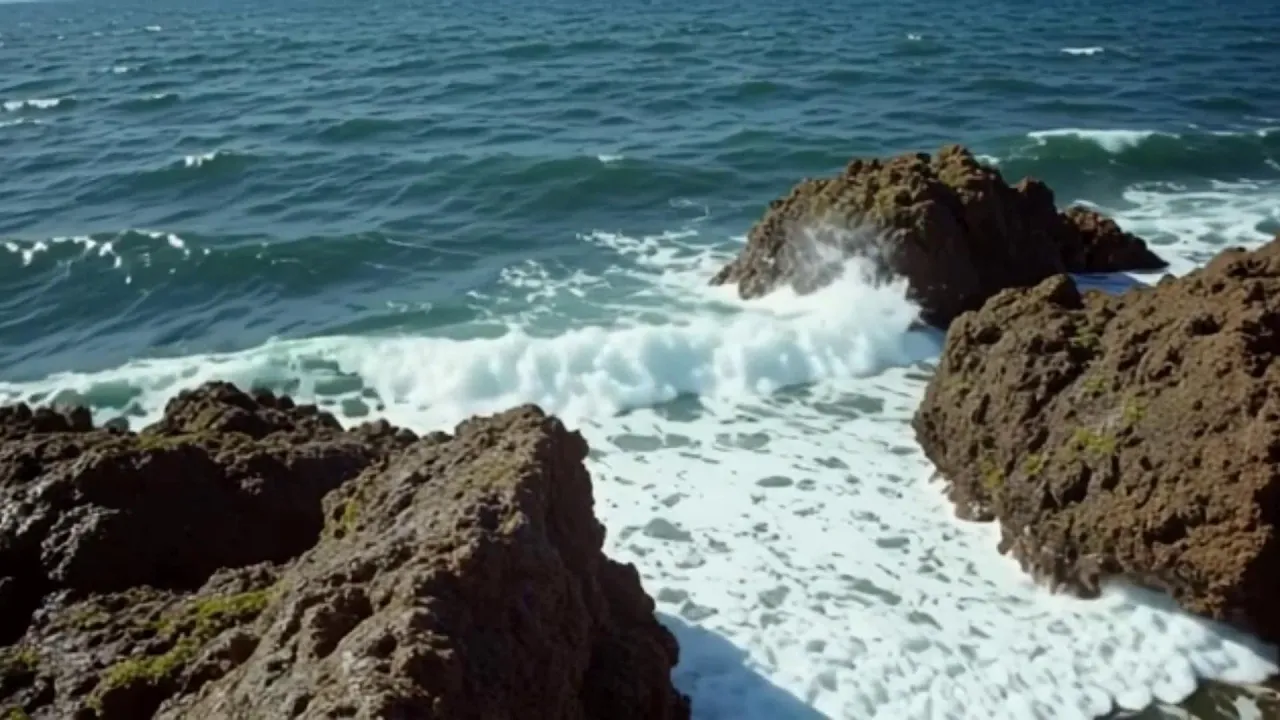 Shake It Up Until You Break